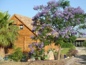 nuda propiedad alhaurin el grande diseminados (33)